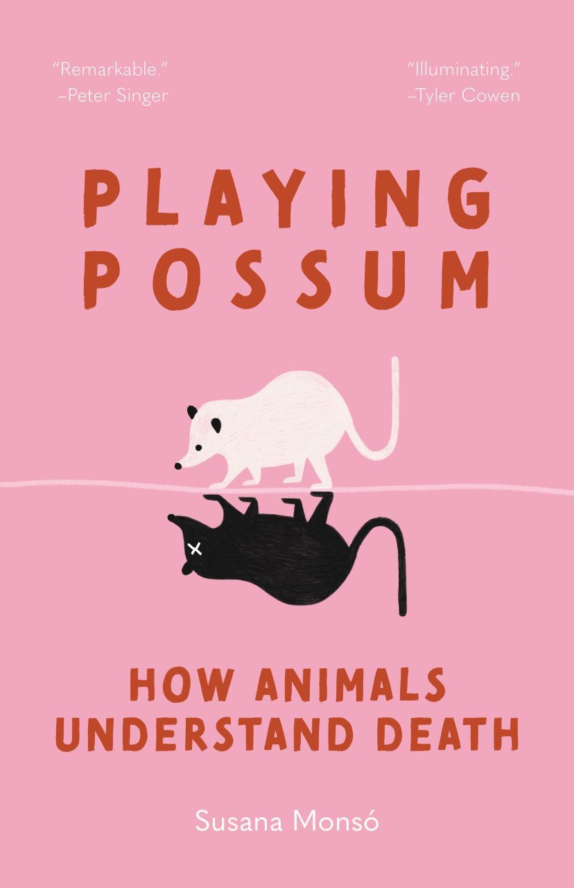 Cover van het boek